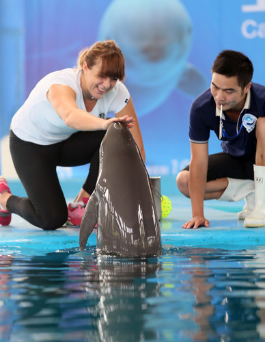 转会加盟多 转会加盟多