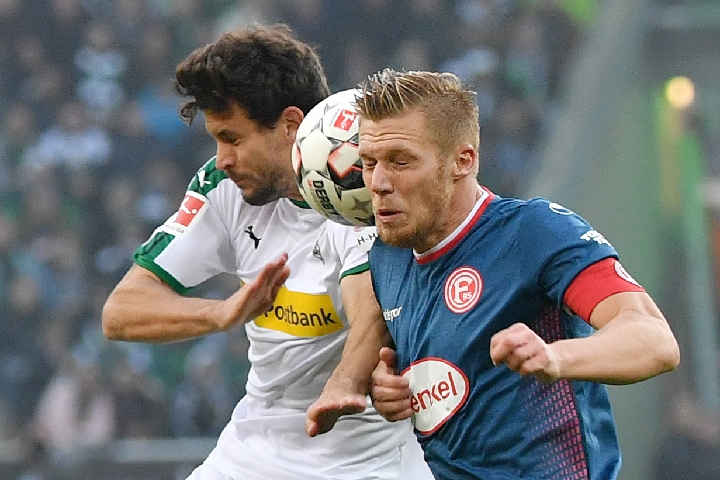 他依然有机 他依然有机