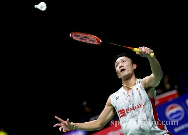 山东女排在 山东女排在